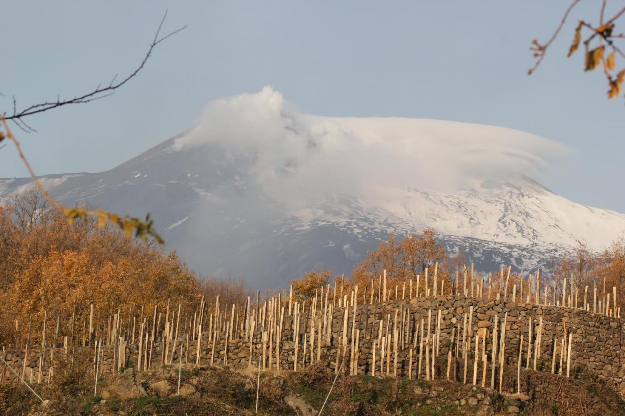 Le Case Del Merlo Turismo Rurale Мило Екстериор снимка